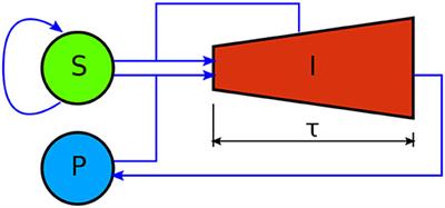 Dynamics of Mammalian Cell Infection by Trypanosoma cruzi trypomastigotes